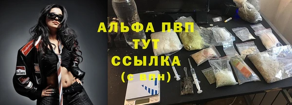 герыч Пересвет