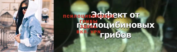 тгк Абаза