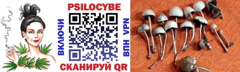 Псилоцибиновые грибы Cubensis  где купить наркотик  Ханты-Мансийск 